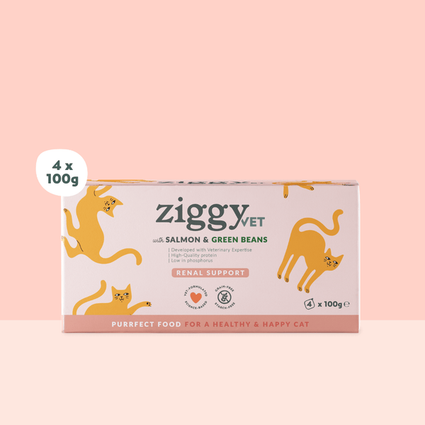 Barquette de pâtée pour chat en insuffisance rénale Chronique (IRC) au saumon de la marque Ziggy