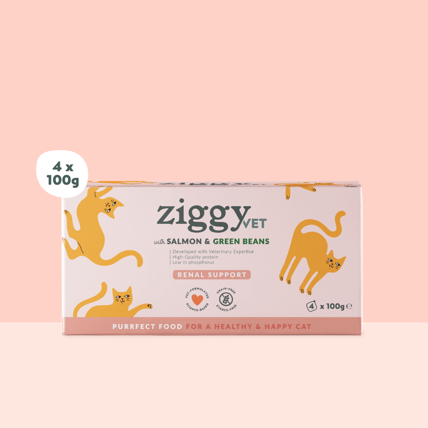 Ziggy Nieren-Nassfutter mit Lachs für Katzen, 4×100g – 2er-Packung