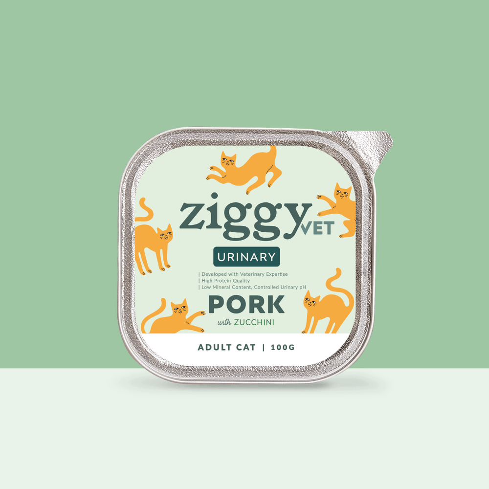 Barquette de 100g de pâtées Ziggy pour chat adulte souffrant de troubles urinaires, saines et sans céréales