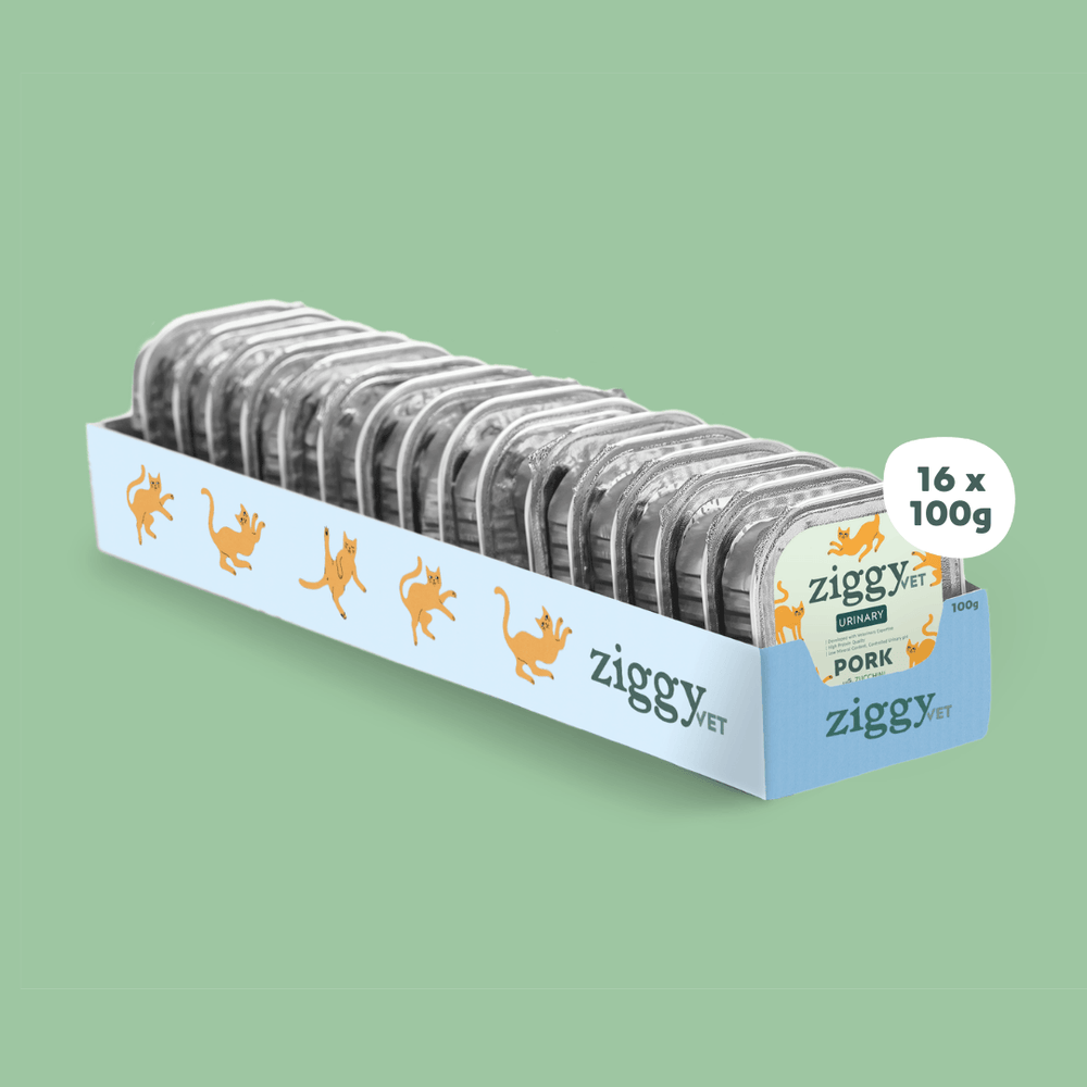 Barquette de 100g de pâtées Ziggy pour chat adulte souffrant de troubles urinaires, saines et sans céréales