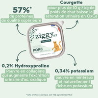Ingrédients de la pâtée Ziggy Vet pour chat souffrant de troubles urinaires, saine et sans amidon