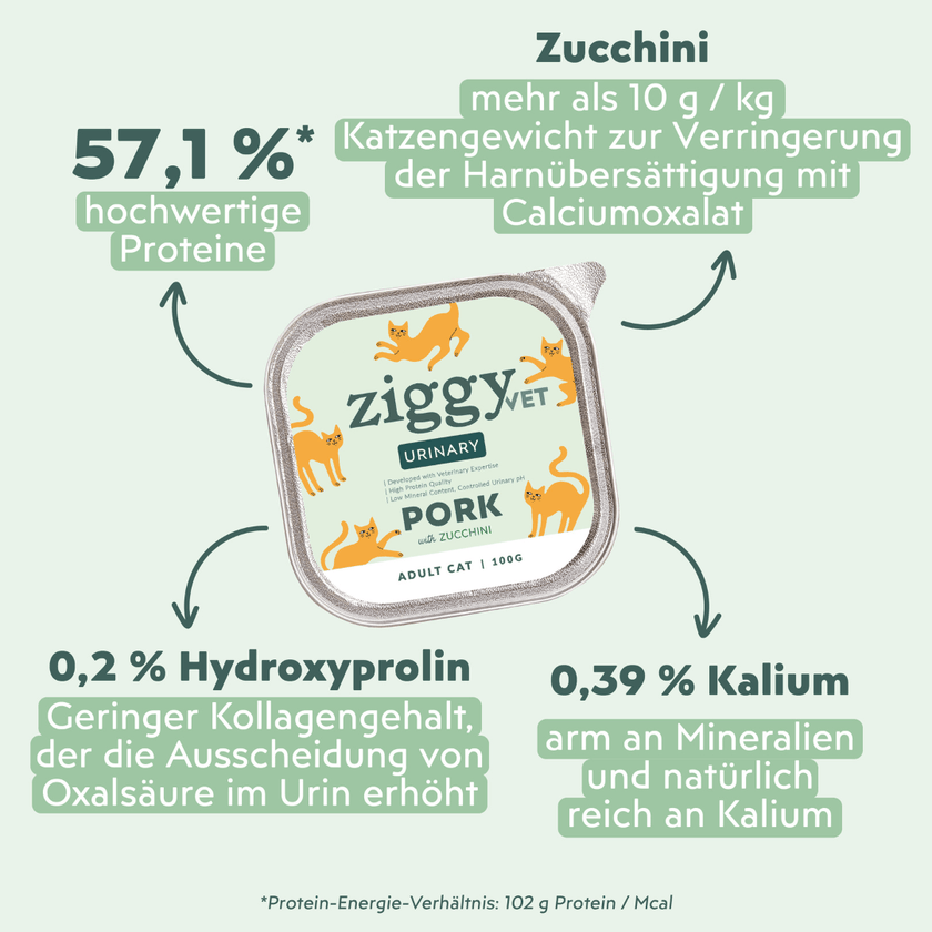 Fütterungsempfehlung für Ziggy Nassfutter für die Harnwegsgesundheit von Katzen