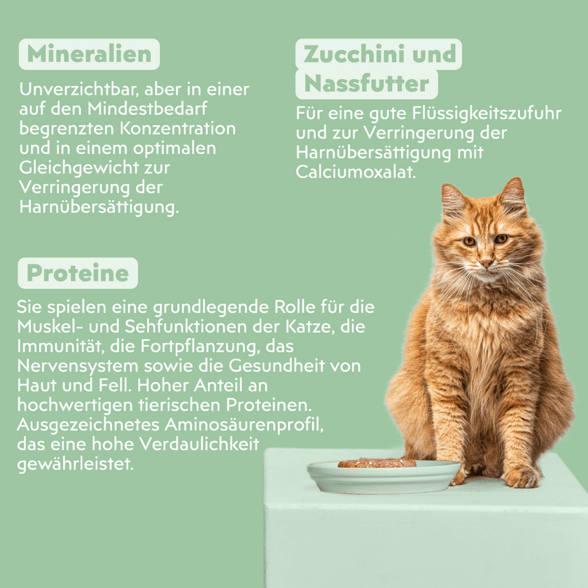 Zutatenliste von Ziggy Nassfutter für die Harnwegsgesundheit von Katzen, aus natürlichen Zutaten