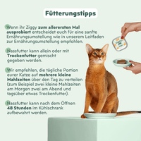 Katze genießt Ziggy Nassfutter für die Harnwegsgesundheit