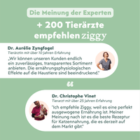 Von Tierärzten empfohlenes Ziggy Nassfutter für die Harnwegsgesundheit von Katzen