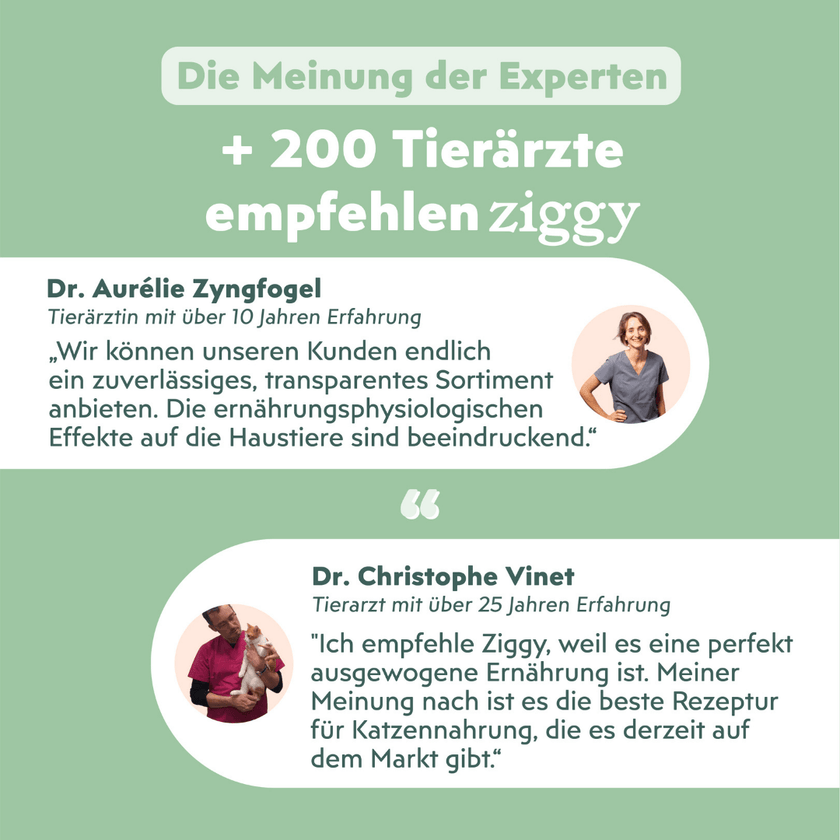 Von Tierärzten empfohlenes Ziggy Nassfutter für die Harnwegsgesundheit von Katzen