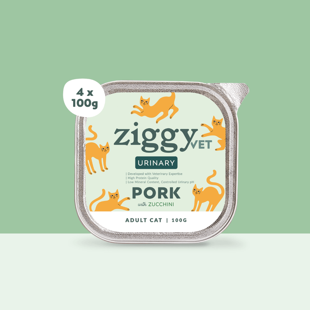 Boite de 4 pâtées Ziggy Vet de 100g pour chat adulte souffrant de troubles urinaires