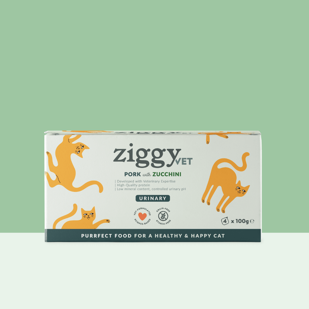 Boite de 4 pâtées Ziggy Vet de 100g pour chat adulte souffrant de troubles urinaires