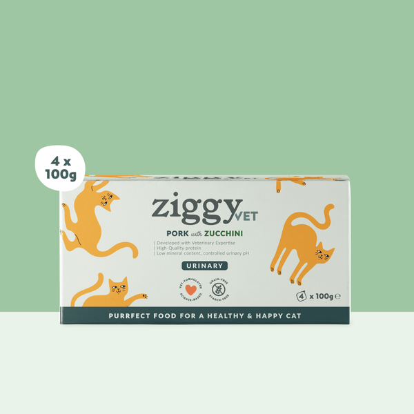 Barquette de 100g de pâtées Ziggy pour chat adulte souffrant de troubles urinaires, saines et sans céréales