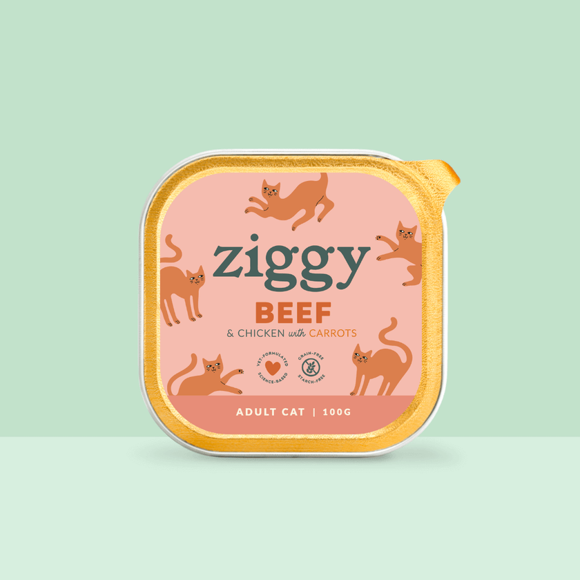 Ziggy Rind-Nassfutter für ausgewachsene Katzen, Packung