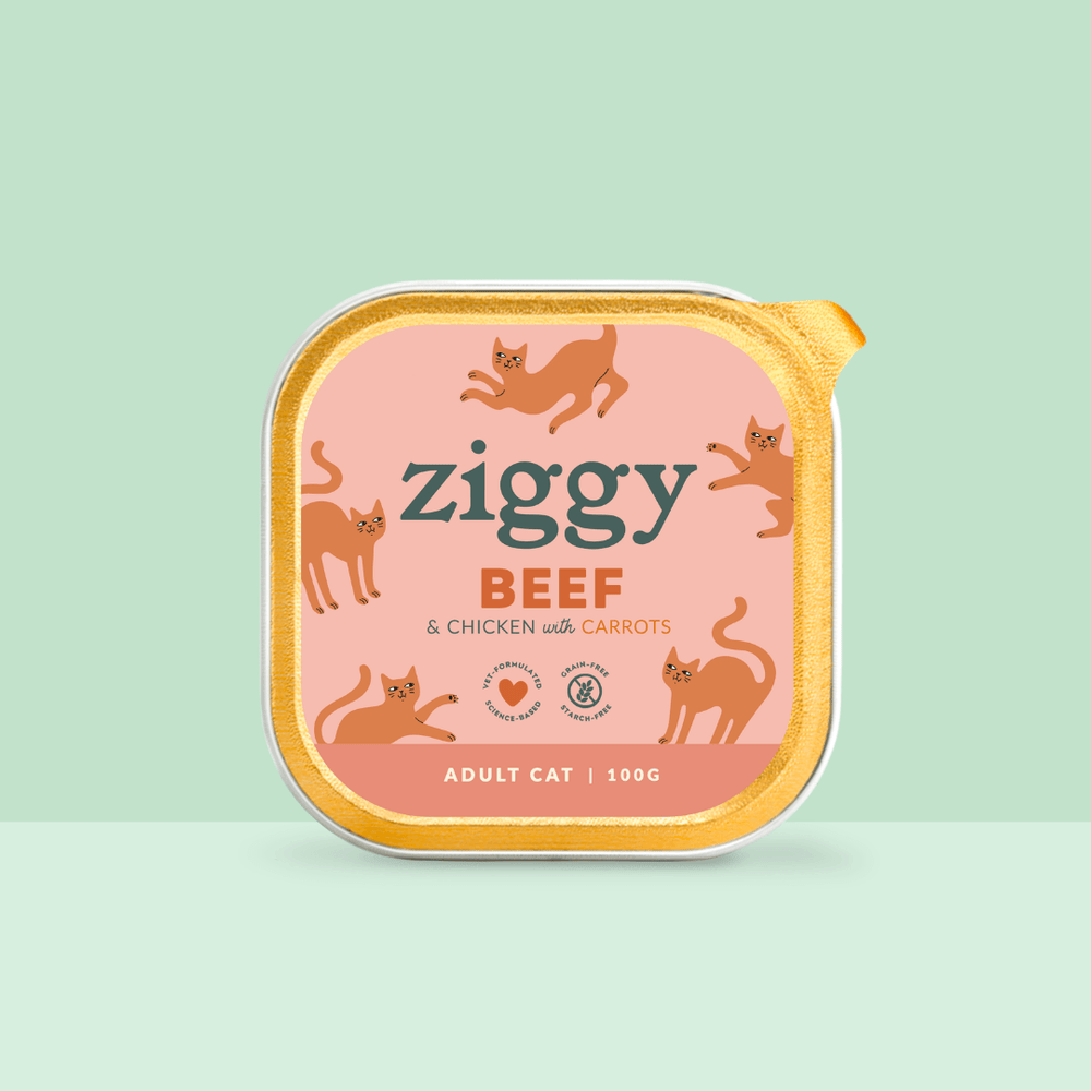Barquette de 100g de pâtées Ziggy pour chat adulte au boeuf, saines et sans céréales
