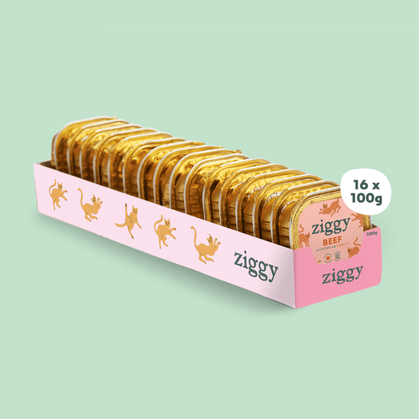 Barquette de 100g de pâtées Ziggy pour chat adulte au boeuf, saines et sans céréales