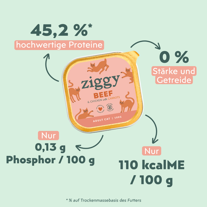 Fütterungsempfehlung für Ziggy Rind-Nassfutter für ausgewachsene Katzen