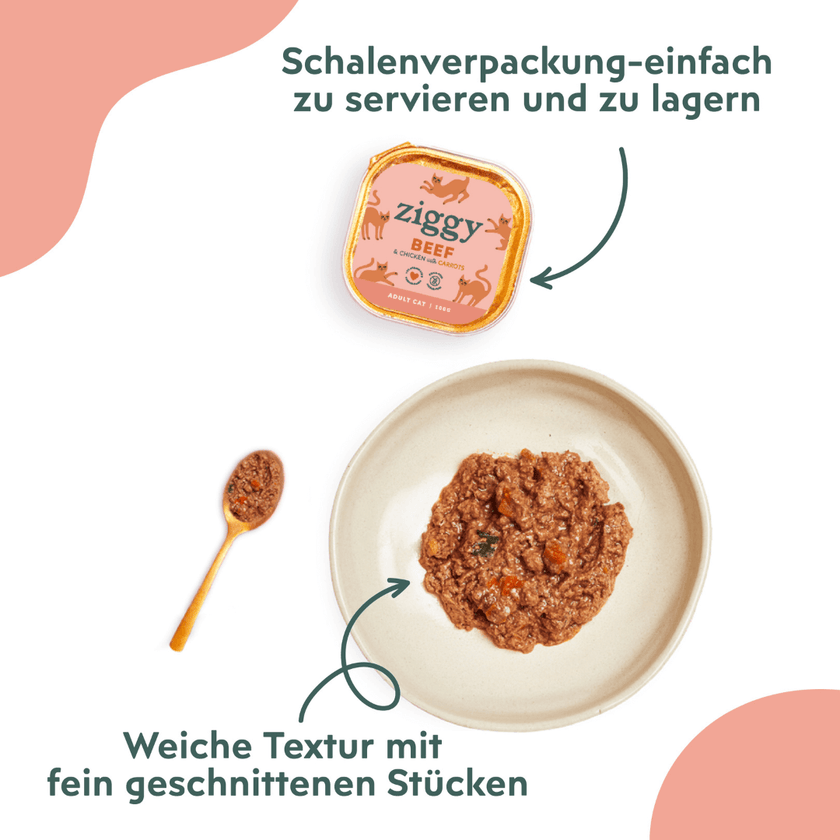 Ziggy Rind-Nassfutter serviert im Napf für ausgewachsene Katzen