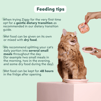 Ingredients infographic for the Ziggy wet food for unneutered cats with beef
