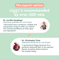 Veterinary recommendation infographic for the Ziggy wet food for unneutered cats with beef