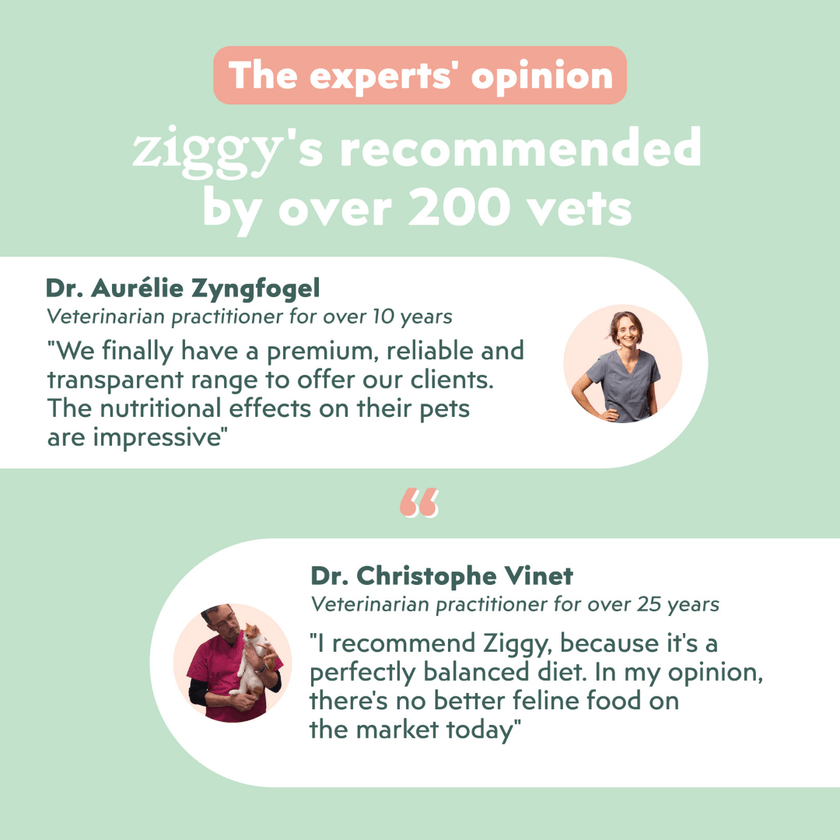 Veterinary recommendation infographic for the Ziggy wet food for unneutered cats with beef