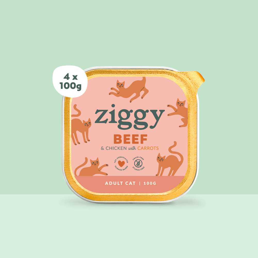 Boite de 4 pâtées Ziggy de 100g pour chat adulte entier au boeuf, saines et sans céréales