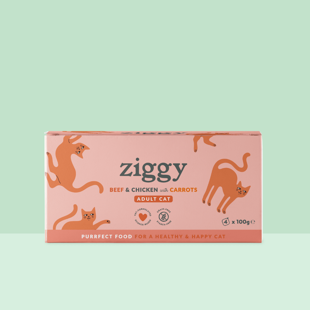 Boite de 4 pâtées Ziggy de 100g pour chat adulte entier au boeuf, saines et sans céréales