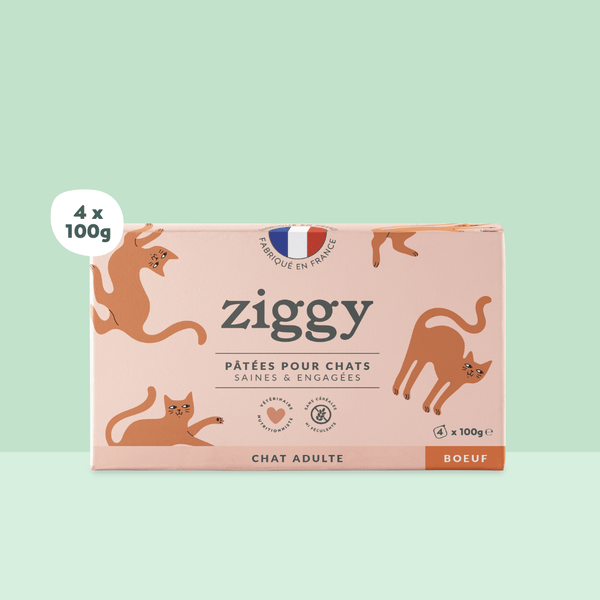 Barquette de 100g de pâtées Ziggy pour chat adulte au boeuf, saines et sans céréales