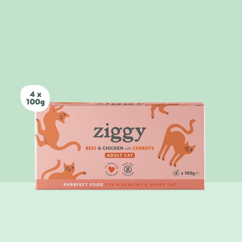 Ziggy Rind-Nassfutter für ausgewachsene Katzen, 4×100g – 2er-Packung