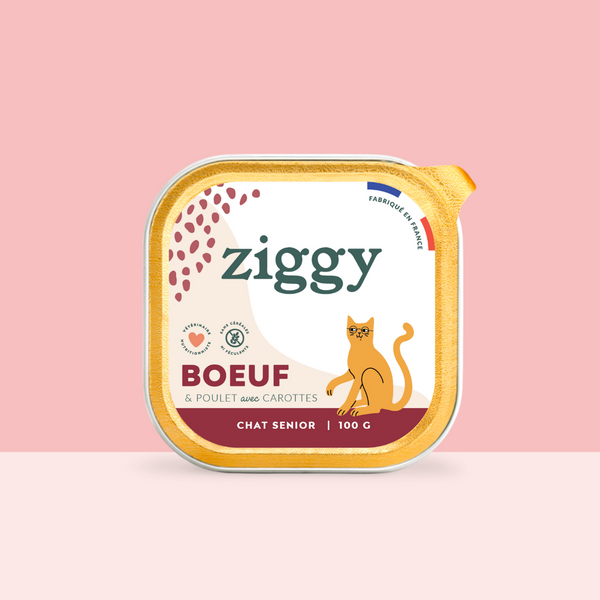 Barquette de 100g de pâtées Ziggy pour chat senior au boeuf, saines et sans céréales