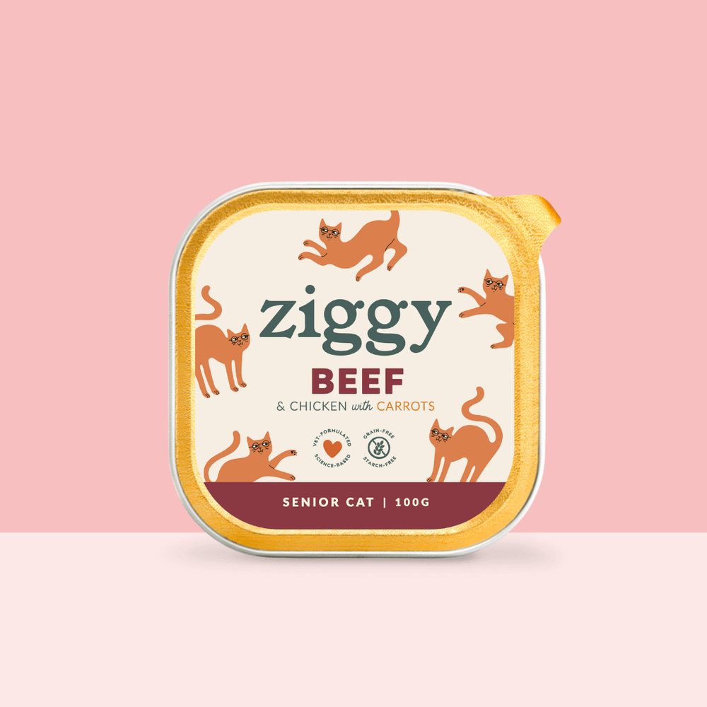 Barquette de 100g de pâtées Ziggy pour chat senior au boeuf, saines et sans céréales