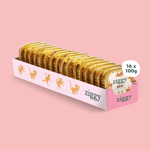 Barquette de 100g de pâtées Ziggy pour chat senior au boeuf, saines et sans céréales