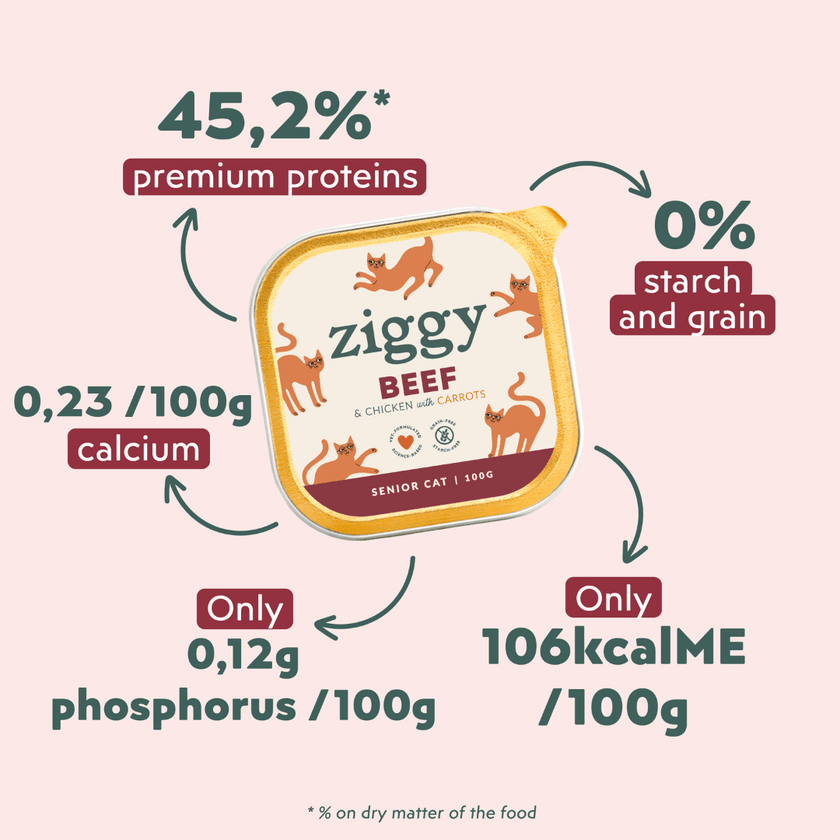 Single tray of Ziggy senior cat pâté with beef, another packshot angle