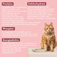 Zutatenliste von Ziggy Senior Rind-Nassfutter für Katzen, aus natürlichen Zutaten