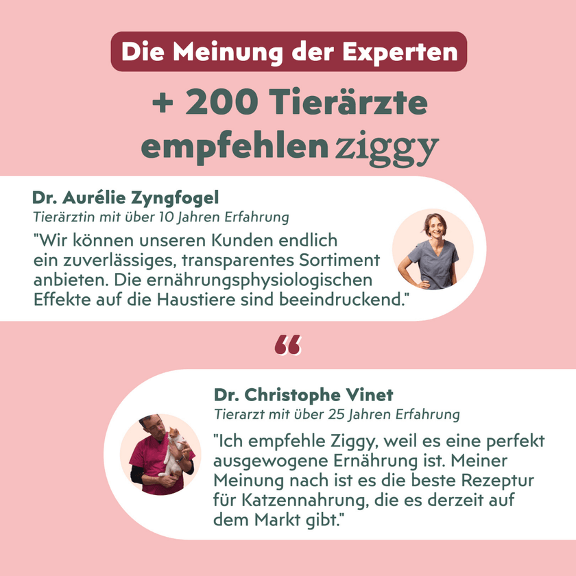 Von Tierärzten empfohlenes Ziggy Senior Rind-Nassfutter für ältere Katzen