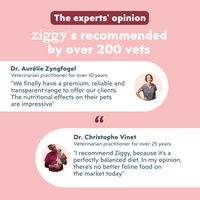 Veterinary recommendation infographic for the Ziggy senior cat wet food with beef