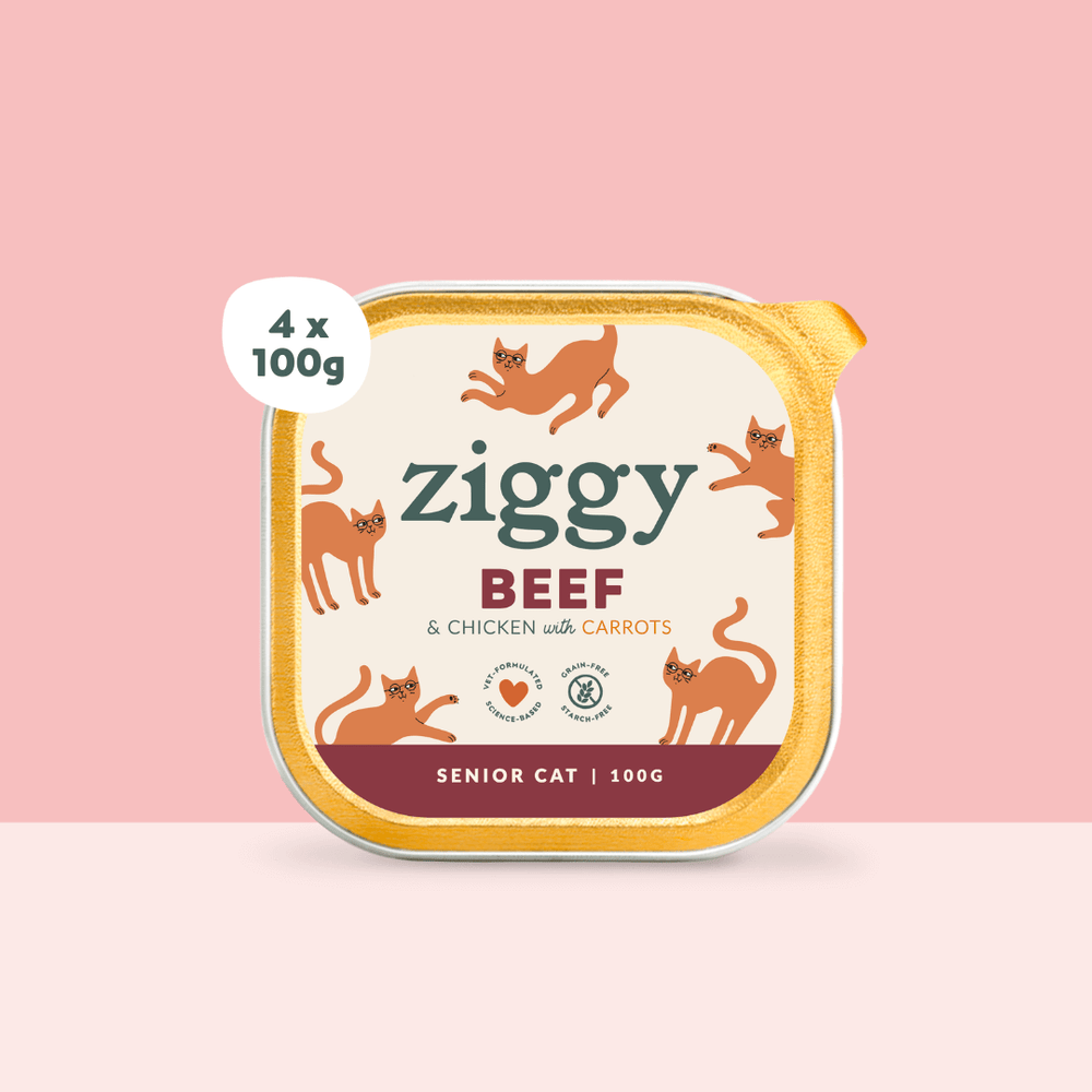 Boite de 4 pâtées Ziggy de 100g pour chat senior au boeuf, saines et sans céréales
