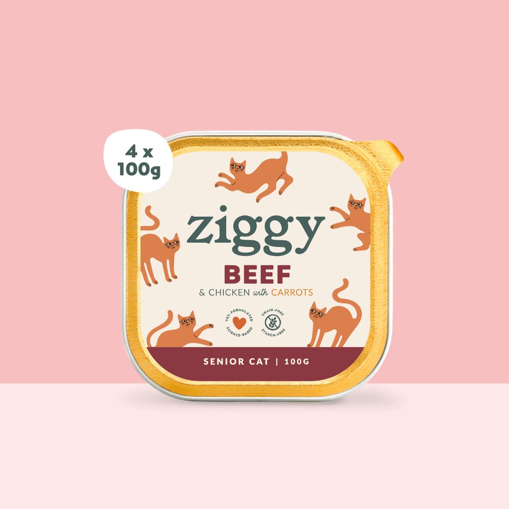 Boite de 4 pâtées Ziggy de 100g pour chat senior au boeuf, saines et sans céréales