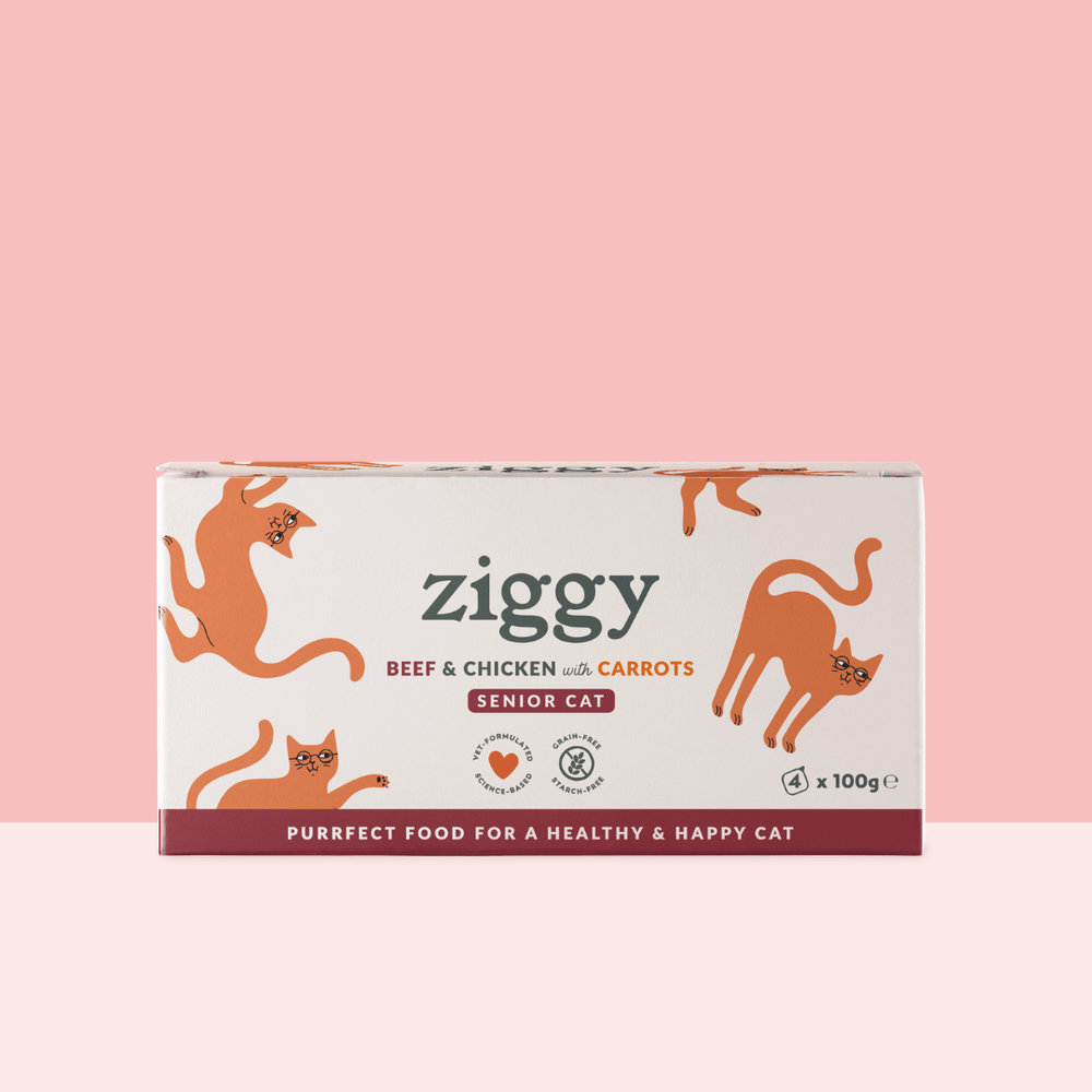 Boite de 4 pâtées Ziggy de 100g pour chat senior au boeuf, saines et sans céréales