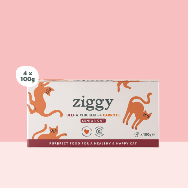 Barquette de 100g de pâtées Ziggy pour chat senior au boeuf, saines et sans céréales