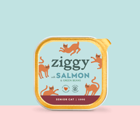 Ziggy Senior Lachs-Nassfutter für Katzen, 16×100g Packung