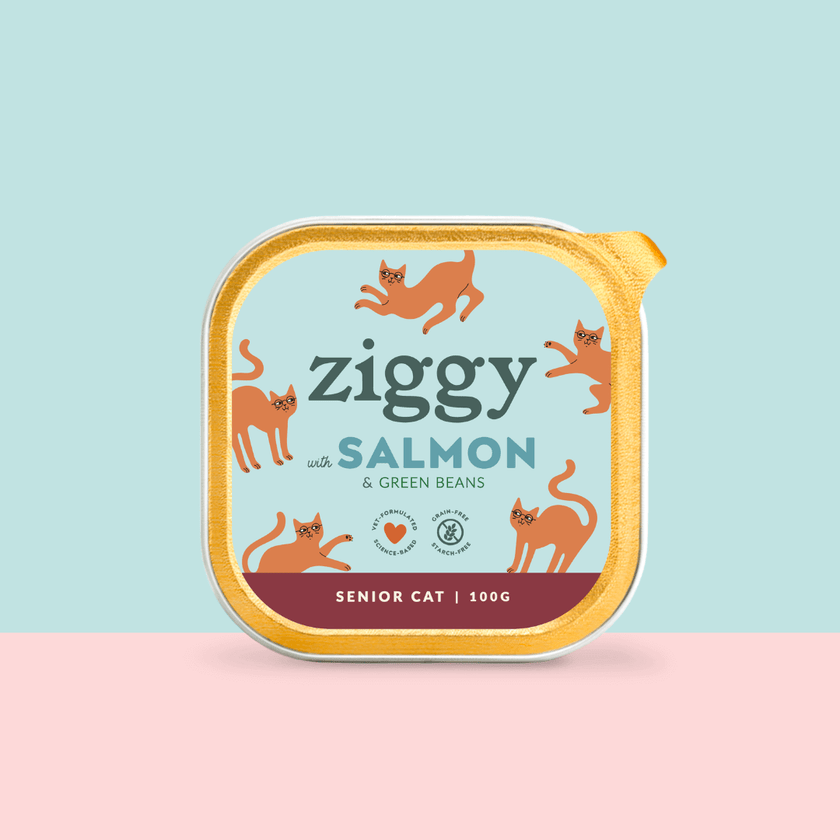 Ziggy Senior Lachs-Nassfutter für Katzen, 16×100g Packung