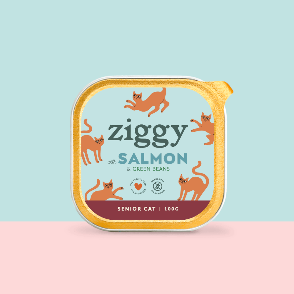 Barquette de pâtée pour chat senior au saumon Ziggy