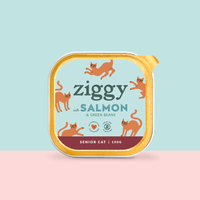 Main photo of the single tray of Ziggy senior cat pâté with salmon