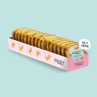 Ziggy Senior Lachs-Nassfutter für Katzen, 16×100g – 2er-Packung