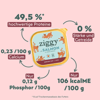 Fütterungsempfehlung für Ziggy Senior Lachs-Nassfutter für ältere Katzen