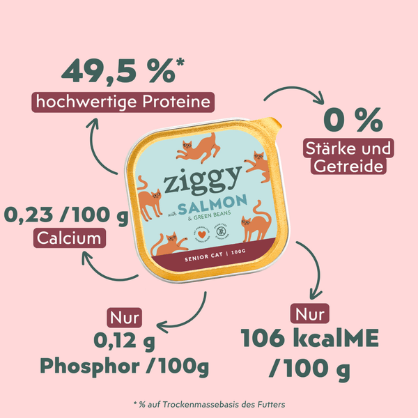 Composition de la pâtée pour chat senior au saumon Ziggy