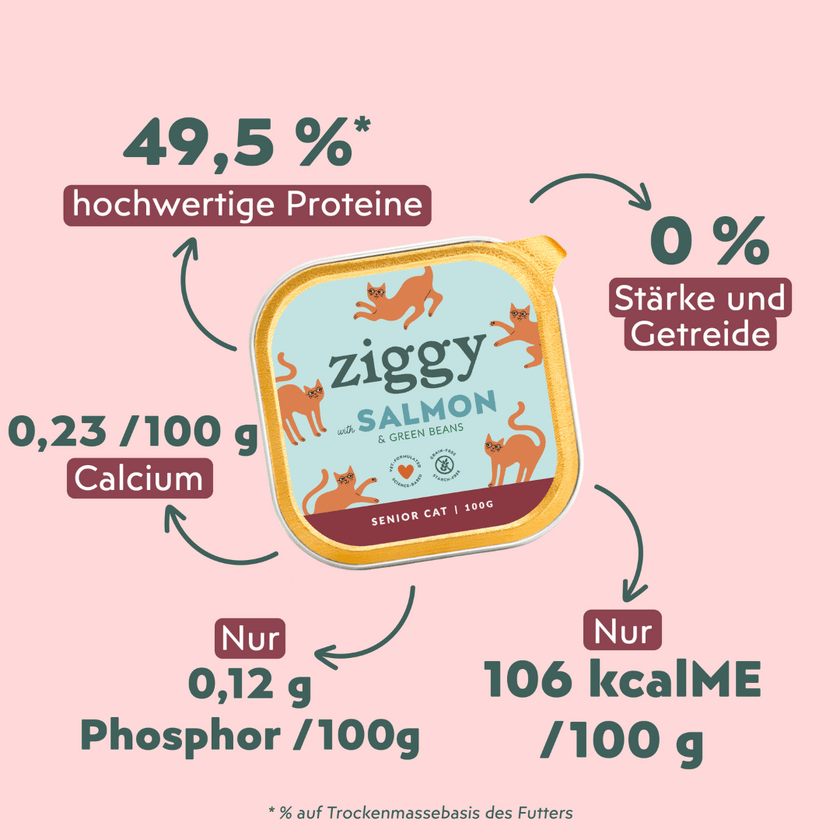 Fütterungsempfehlung für Ziggy Senior Lachs-Nassfutter für ältere Katzen