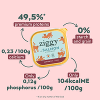 Single tray of Ziggy senior cat pâté with salmon, another packshot angle