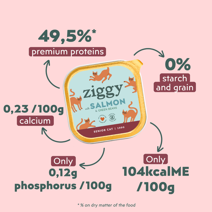 Single tray of Ziggy senior cat pâté with salmon, another packshot angle
