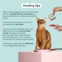 Ingredients infographic for the Ziggy senior cat pâté with salmon