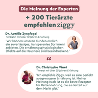 Von Tierärzten empfohlenes Ziggy Senior Lachs-Nassfutter für ältere Katzen