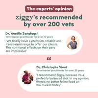 Veterinary recommendation infographic for the Ziggy senior cat pâté with salmon