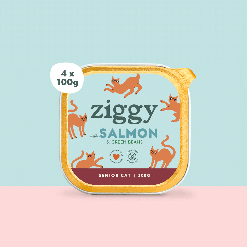 Lot de 4 pâtées pour chat senior au Saumon de la marque Ziggy